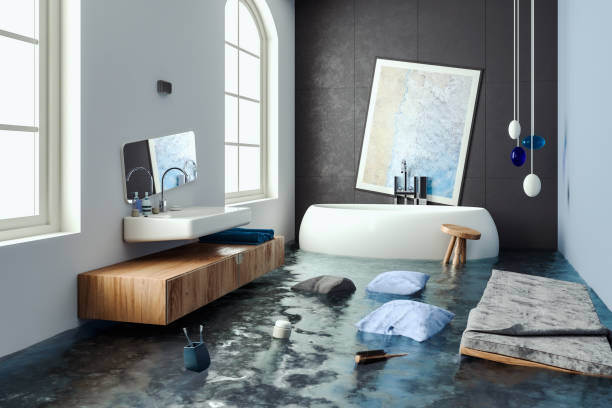 Best Water damage contractors near me  in Clemson, SC