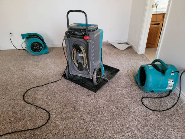 Best Mold removal after water damage  in Clemson, SC