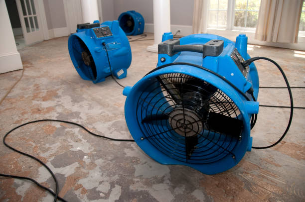 Best Residential water damage restoration  in Clemson, SC