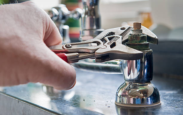 Best Flood restoration services  in Clemson, SC
