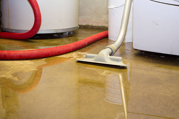Best Flooded house restoration  in Clemson, SC
