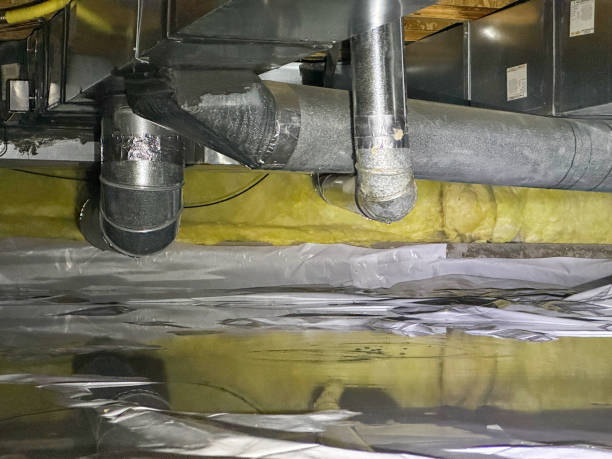 Best Water damage restoration near me  in Clemson, SC
