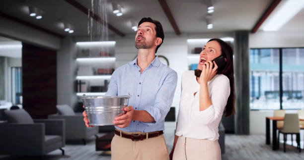  Clemson, SC Water damage restoration Pros