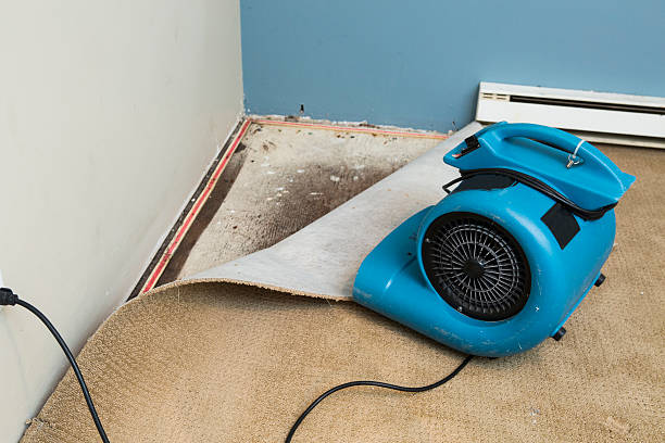 Best Commercial water damage restoration  in Clemson, SC